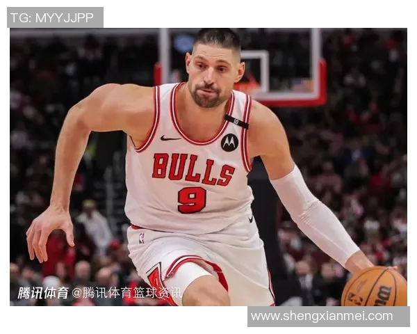 尼古拉武切维奇的传奇人生与篮球梦想之路探索