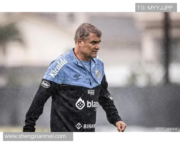 萨维切维奇:足球传奇背后的故事与辉煌成就解析 萨维切维奇:足球传奇背后的故事与辉煌成就解析