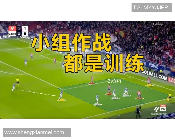 鸟取飞翔与大分公式的精彩对决分析与战术探讨