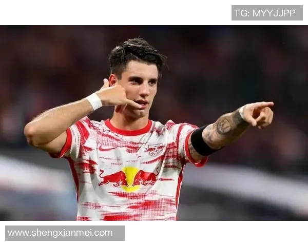 索博斯洛伊的历史传承与文化魅力探秘之旅