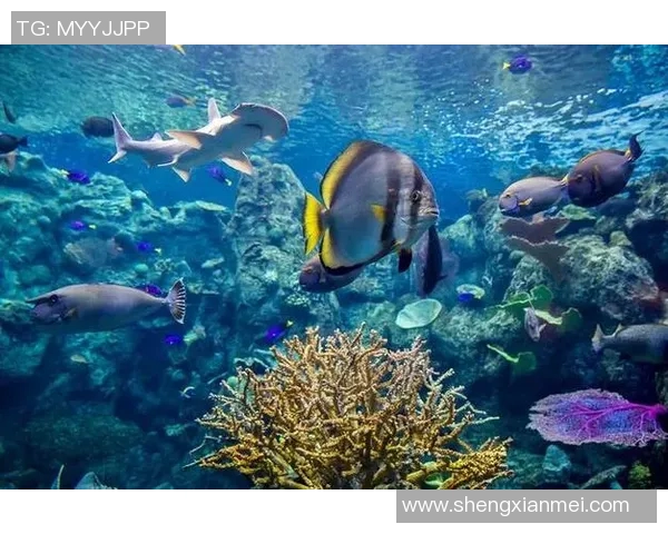 探索罗德海的神秘魅力与生态多样性之旅