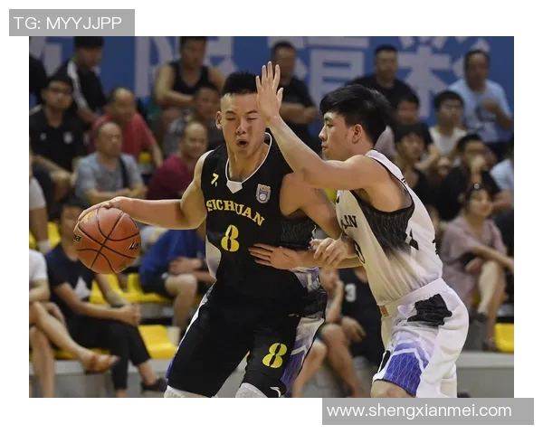 四川金强：探索篮球新篇章助力青年成长与体育事业发展