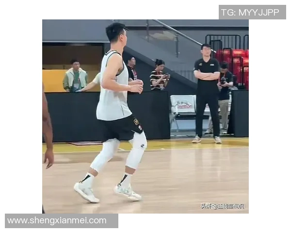 辽宁广厦决赛精彩回顾视频全程重温篮球巅峰对决瞬间